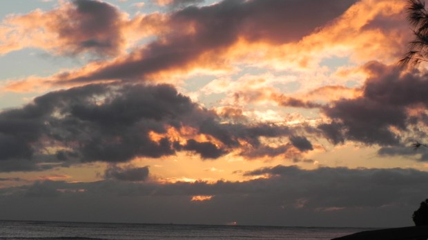 B40666FD-0B5A-434D-9D92-65711E0D70E9