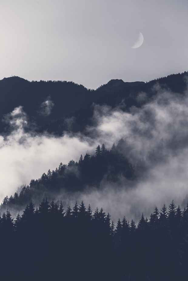 photo of mountain covered with fog