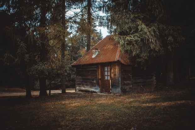 wooden house on a forest