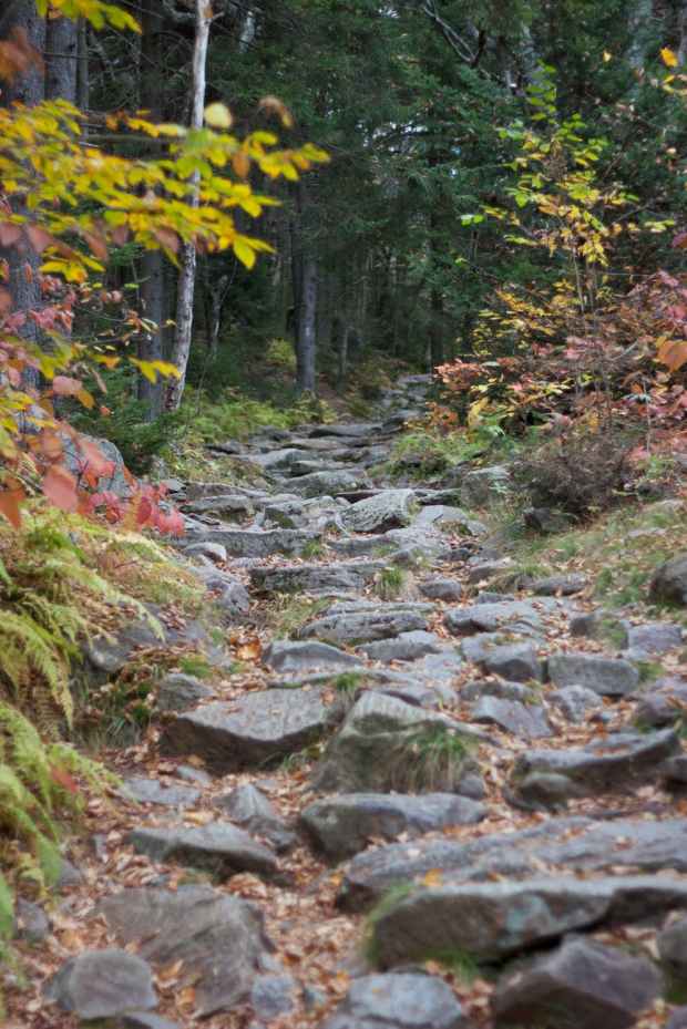rocks trees hiking trail