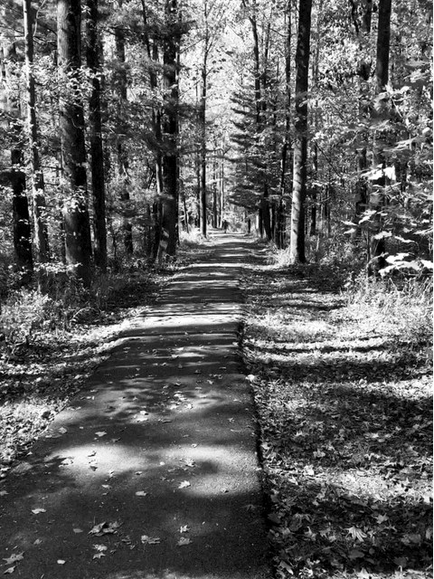 image_00654966-78f4-4fb8-983d-5b94522c2ef8.img_1411